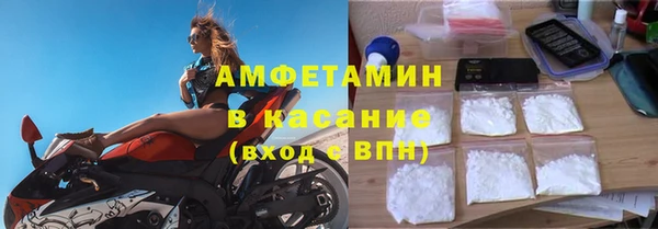 прущие грибы Осташков