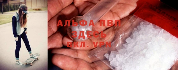 прущие грибы Осташков