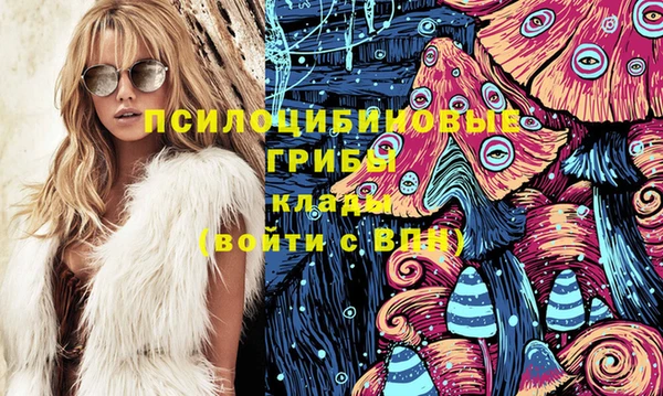 прущие грибы Осташков