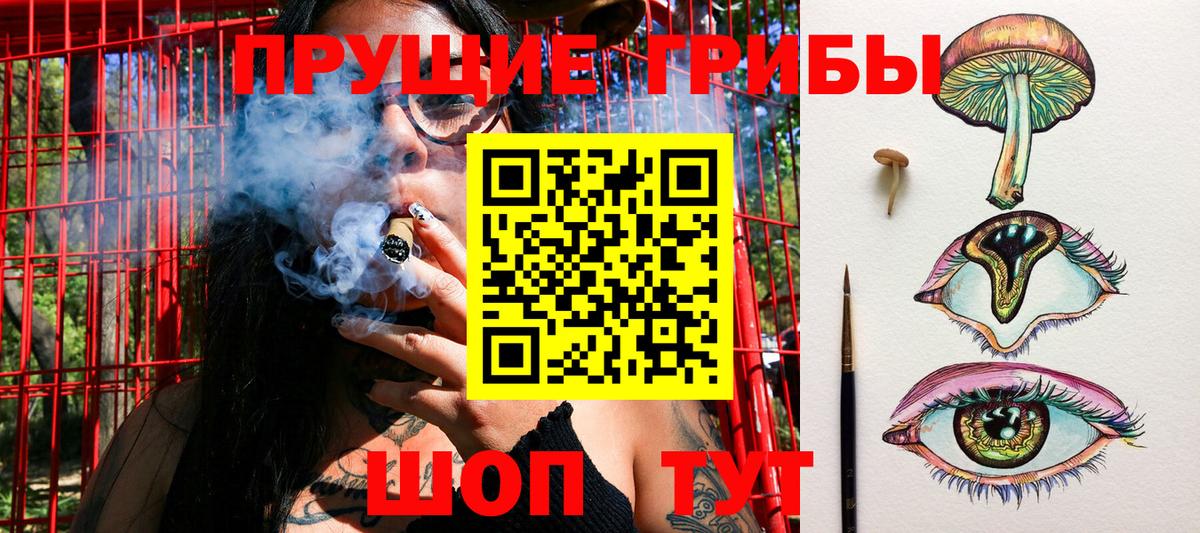 Псилоцибиновые грибы прущие грибы Калининград