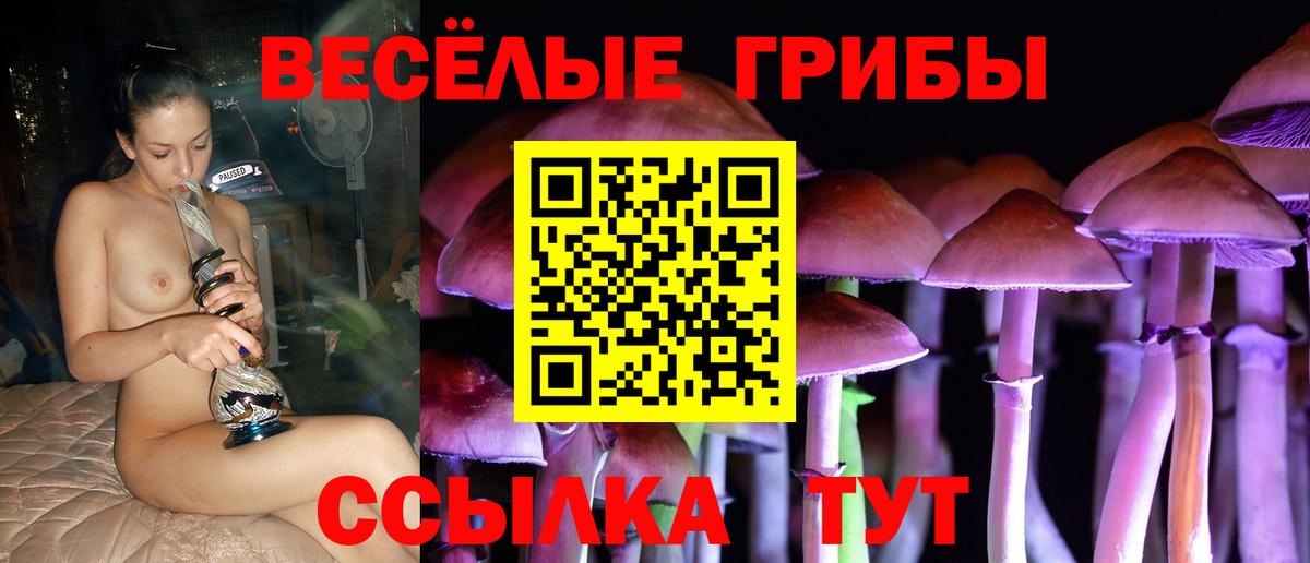 где продают наркотики  Вход с VPN  Калининград  Псилоцибиновые грибы Magic Shrooms 