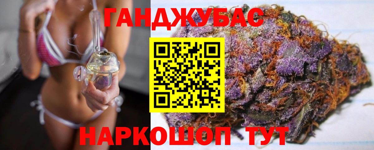 Конопля план Калининград